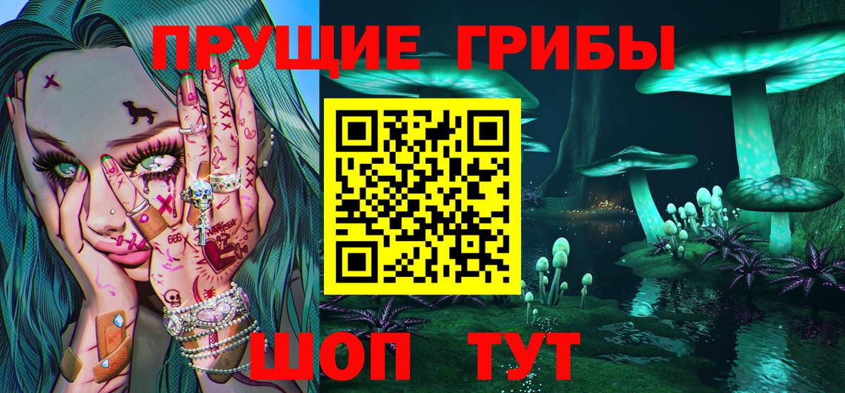 Псилоцибиновые грибы Cubensis  где купить наркоту  Псилоцибиновые грибы мицелий  Костомукша  Вход с VPN 