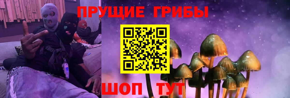 Галлюциногенные грибы Magic Shrooms Костомукша